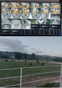 At Çiftliği Kamera Sistemi