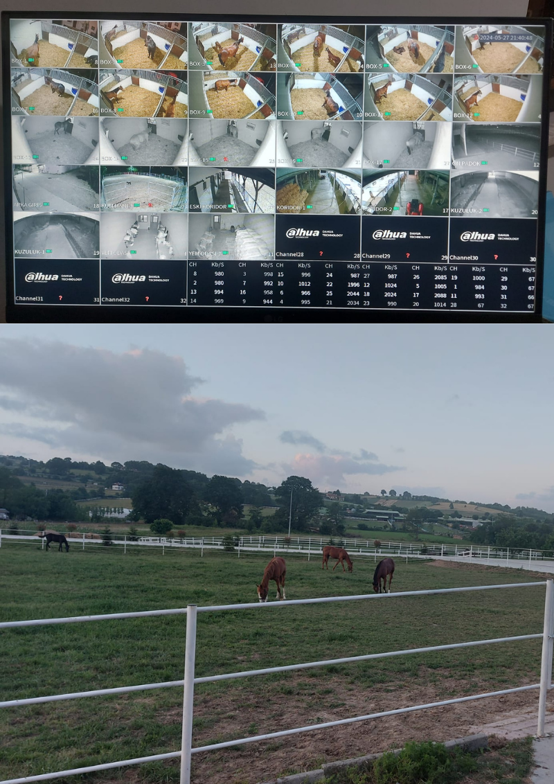At Çiftliği Kamera Sistemi