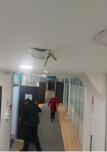 Yangın Alarm Sistemi